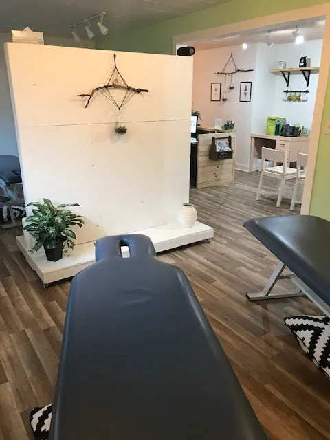 VIBE Family Chiropractic Studio Picture 6