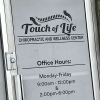 Touch Of Life ico