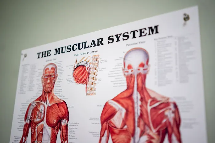 Dr. Scot Chiropractic Picture 10