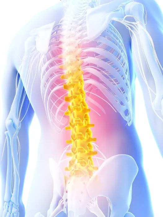 Riddel Chiropractic Center Picture 3