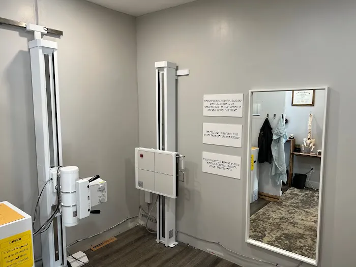 Tree of Life Chiropractic Picture 5