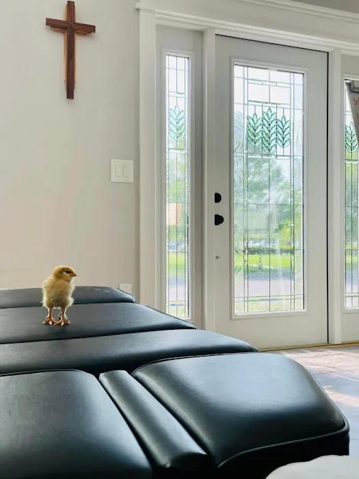 Tree of Life Chiropractic Picture 10