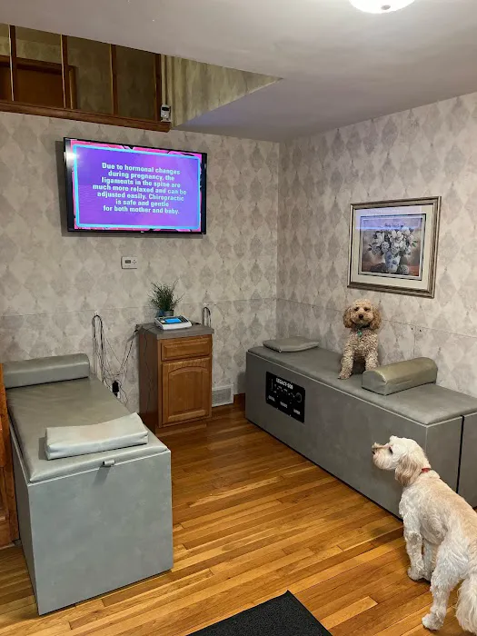 Feldkamp Chiropractic Clinic Picture 7