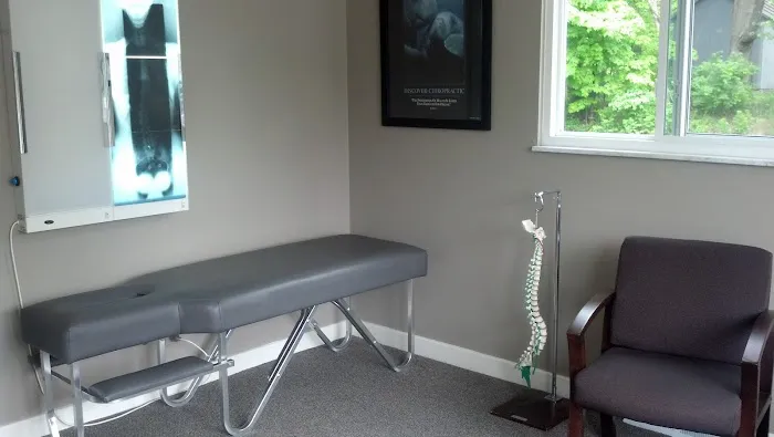 Wells Family Chiropractic Picture 9