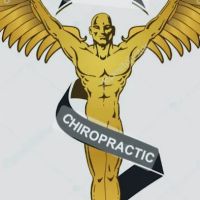 Osborn Chiropractic Orthopedics ico