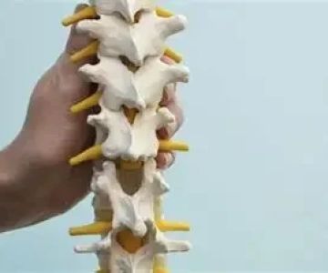 Can Chiropractic Care Solve Your Spinal Alignment Problem?
