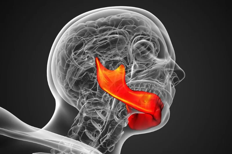 What Causes TMJ and How Chiropractors Treat It | Natural Relief Explained