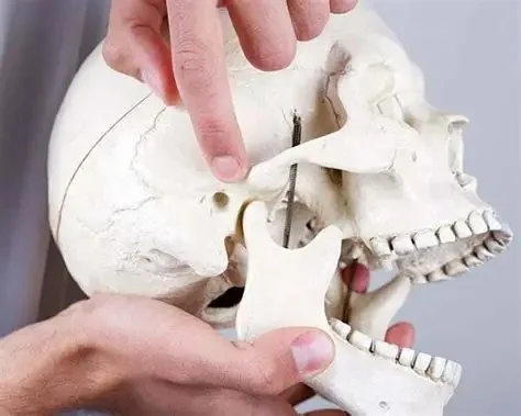 10 Things You Should Know About TMJ and Chiropractic