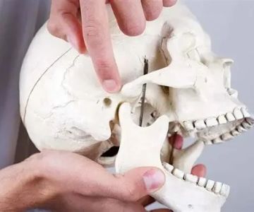 10 Things You Should Know About TMJ and Chiropractic