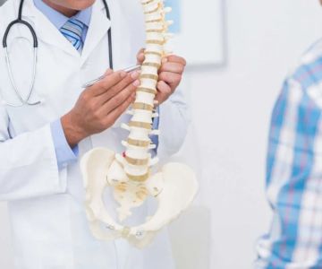 How Many Chiropractors Are Actually Board Certified? What to Look for in Credentials